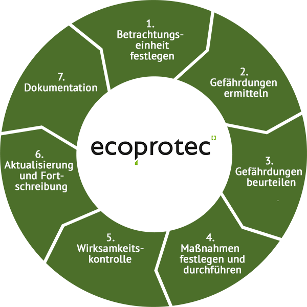 Sieben Schritte der Gefährdungsbeurteilung psychische Belastung am Arbeitsplatz Schaubild Kreis ecoprotec